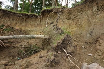 Protect Your Landscape From Shifting and Erosion!