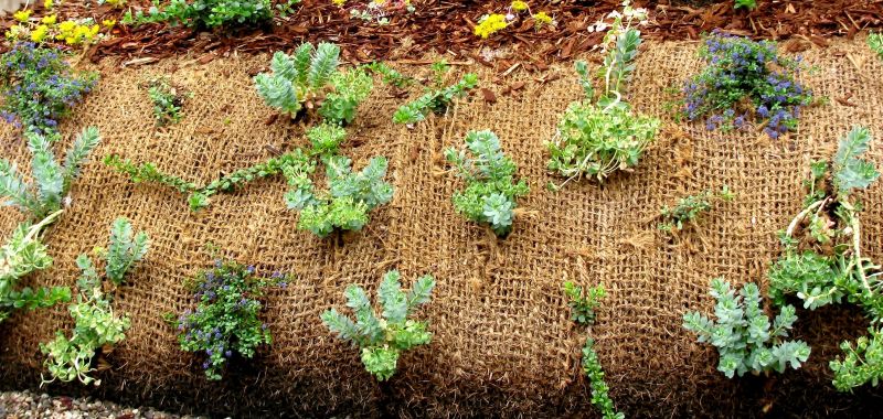 Soil Erosion Prevention Solutions