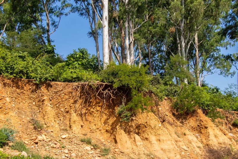 Soil Erosion Prevention Costs — Cost of Soil Erosion Prevention