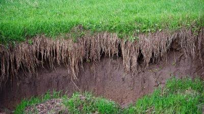 Get a Custom Erosion Prevention Plan!